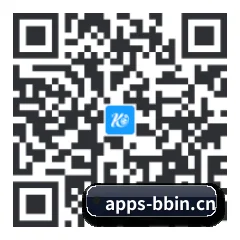 系统版 iOS 二维码（BBIN）